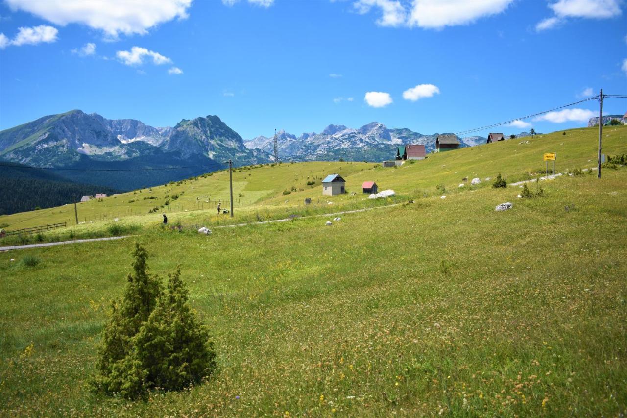 Villa Durmitor View Žabljak Exterior foto